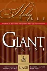 9780899579450 Giant Print Handy Size Bible