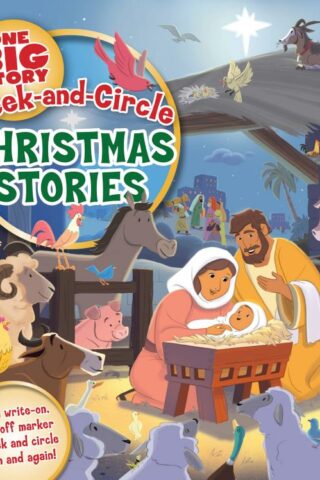 9781087715445 Seek And Circle Christmas Stories