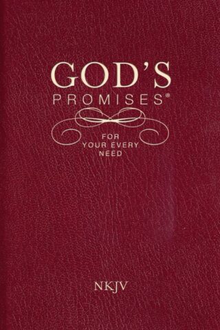 9781404186651 Gods Promises For Your Every Need NKJV