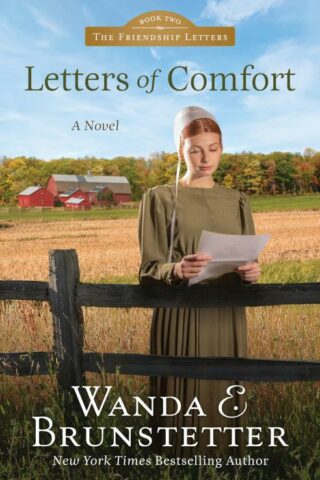 9781636094878 Letters Of Comfort