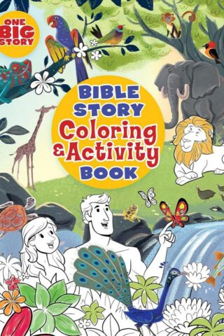 9781462745166 Bible Story Coloring And Activity Book