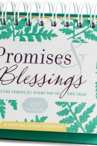 9781644549360 Promises And Blessings KJV Version DayBrightener