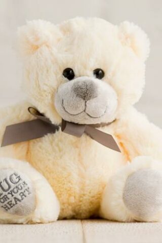 081983562556 Hug For Your Heart Bear