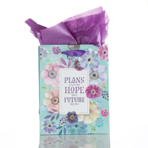 1220000130234 Hope And Future Gift Bag