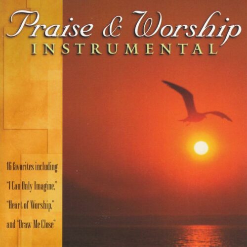 614187130025 Praise And Worship Instrumental