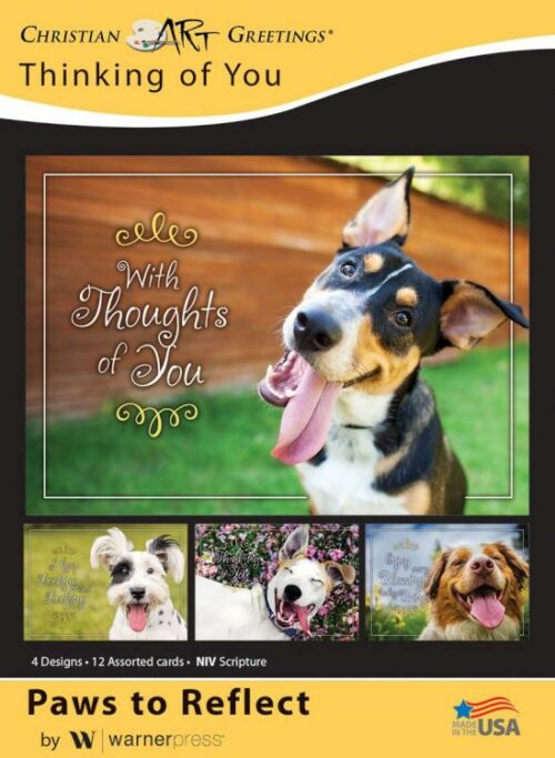 730817358987 Thinking Of You Paws To Reflect Box Of 12