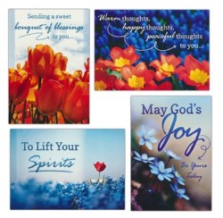 730817362618 Lift Your Spirits Assorted Get Well NIV Box Of 12