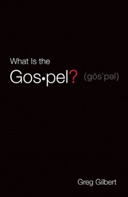 9781682163573 What Is The Gospel