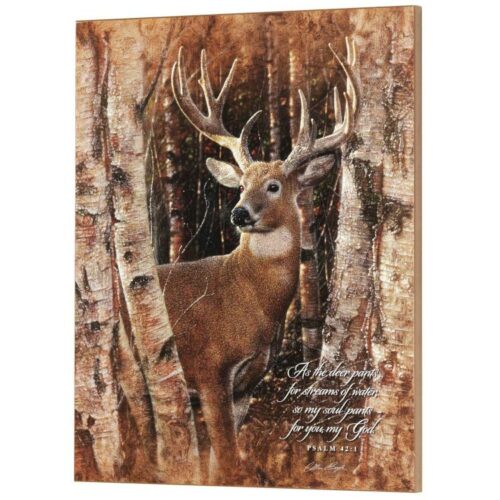 603799474146 As The Deer Pants (Plaque)