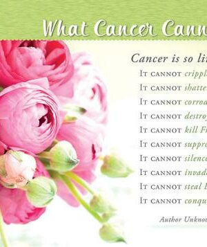 730817362960 What Cancer Cannot Do Assorted Encouragement KJV Box Of 12