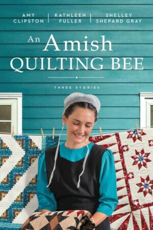 9780840712097 Amish Quilting Bee