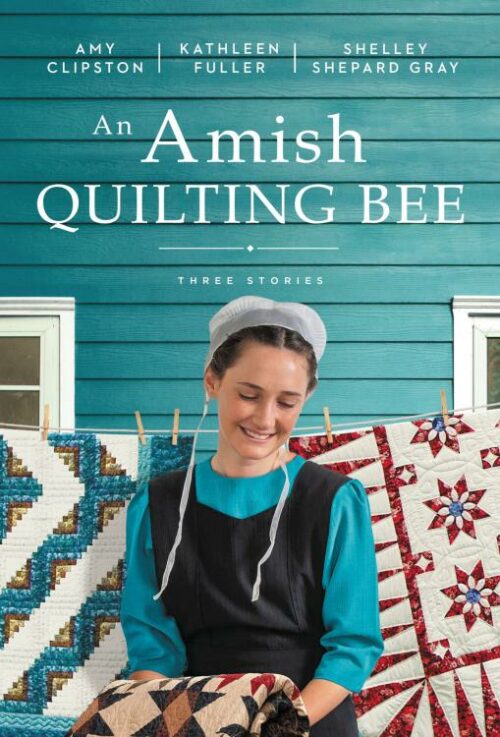 9780840712097 Amish Quilting Bee