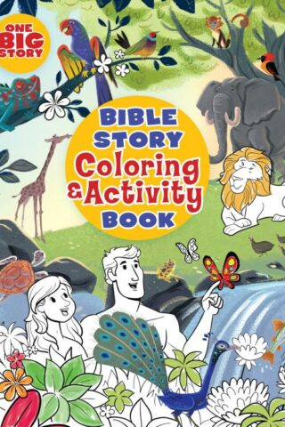 9781462745166 Bible Story Coloring And Activity Book