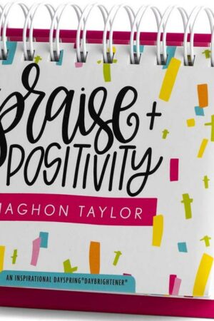 9781648709401 Praise Plus Positivity DayBrightener