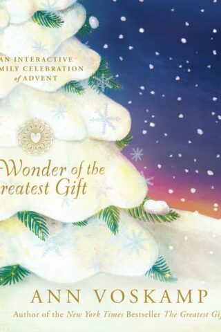 9781496427991 Wonder Of The Greatest Gift