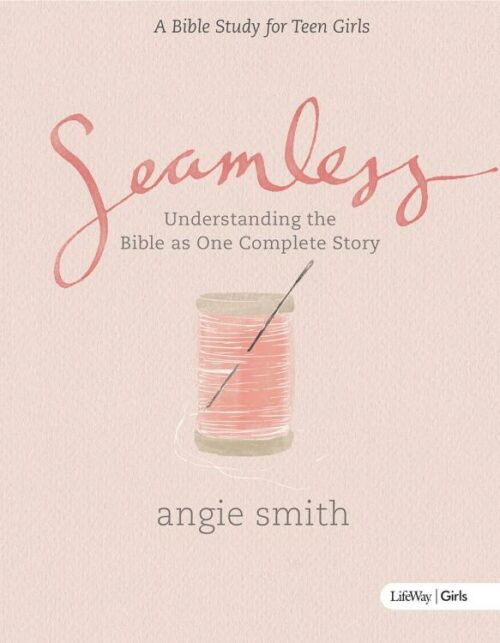 9781430039969 Seamless Teen Girls Bible Study Book (Student/Study Guide)