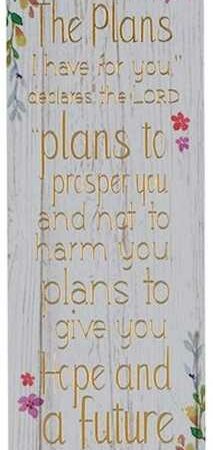 1220000136762 I Know The Plans Sunday School/Teacher Bookmark Set - Jeremiah 29:11