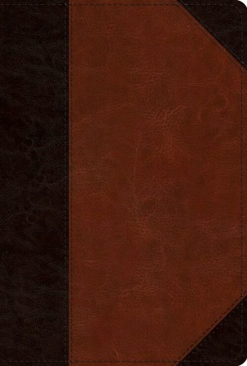 9781433593161 Mens Study Bible