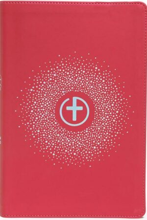 9781087730318 1 Big Story Bible