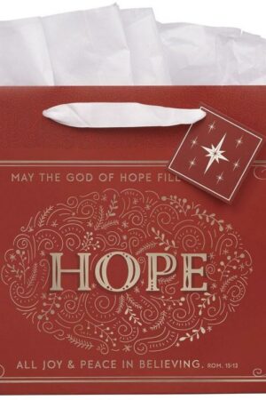 1220000327030 Large Landscape Inspirational Christmas Gift Bag