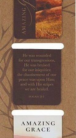 1220000720183 Amazing Grace Die Cut Magnetic Bookmark Set Isaiah 53:3