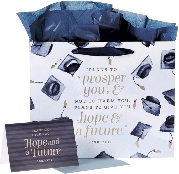 1220000134461 Navy Grad Landscape Gift Bag
