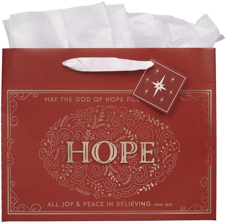 1220000327030 Large Landscape Inspirational Christmas Gift Bag