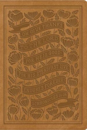 9798874902773 Womens Study Bible