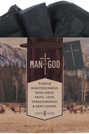 1220000721678 Large Landscape Inspirational Scripture Gift Bag
