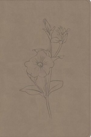 9798384540731 Personal Size Giant Print Bible Digital Study Edition