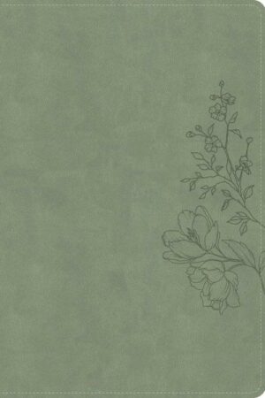 9798384540762 Large Print Thinline Bible Digital Study Edition