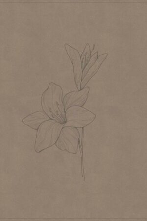 9798384540786 Verse By Verse Reference Bible Digital Study Edition